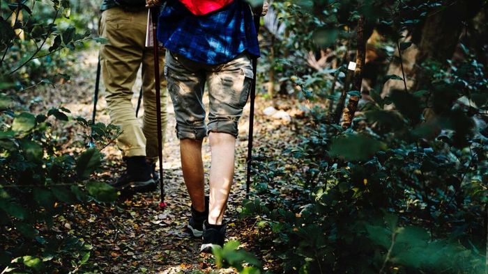 Familiarize Yourself with These Tick Species for Outdoor Safety