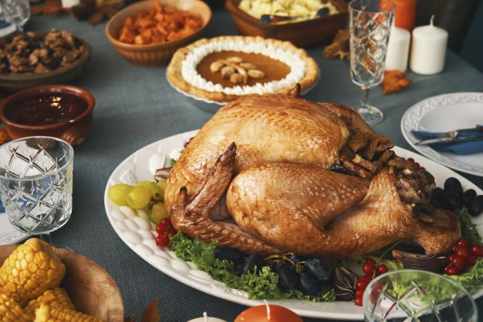Stuffed Turkey for Thanksgiving Holidays with Vegetables and Other Ingredients