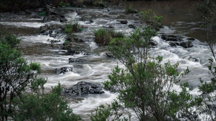 Learn How Bugs Can Be Used to Understand Water Quality