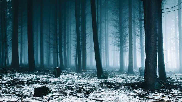 Prepare for a Lengthy Winter Ahead