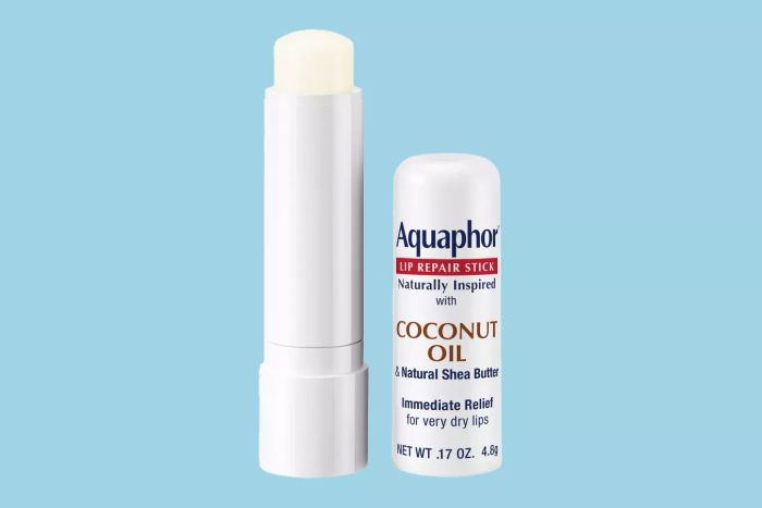 Aquaphor's Coconut Lip Repair is the latest product I’ve been loving.