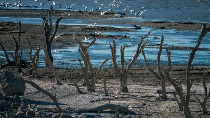 The Salton Sea, the largest inland lake in California, has become a symbol of environmental decline, nestled in the Imperial and Coachella valleys of Riverside and Imperial counties.