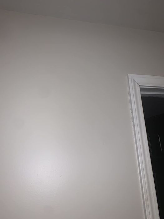 A reviewer's photo of the same wall, now crack-free after repair