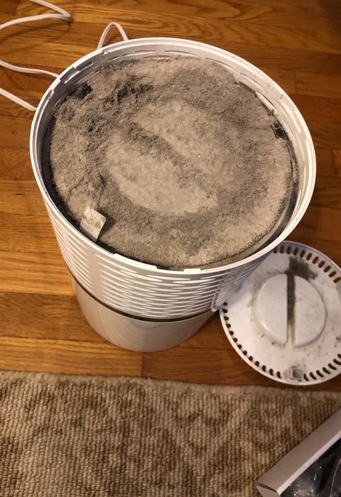 A reviewer's photo of the air purifier's filter, revealing the significant amount of dust and debris it has captured