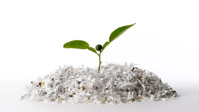 A tree sprouting from paper scraps