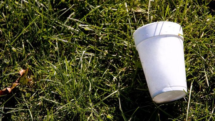 A discarded white styrofoam cup on lush green grass
