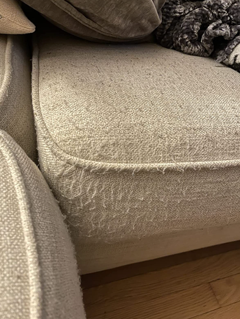 fuzz and debris on a reviewer's couch