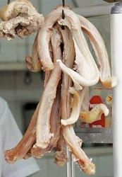 Oxpenis