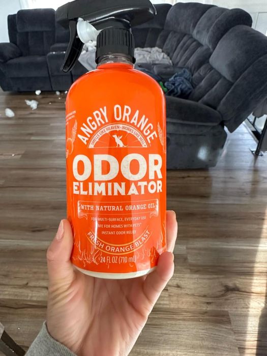 A hand holding a bottle of Angry Orange Odor Eliminator with natural orange oil, set against a backdrop of a couch and wooden flooring