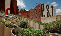 Urban farmers grow crops on rooftops.