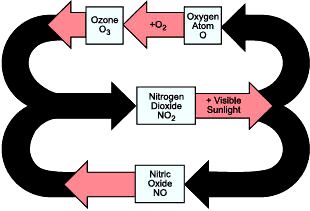 diagram showing the formation of ozone from NOx pollutants
