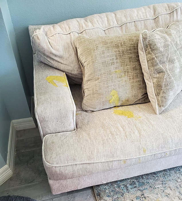 A before photo of a reviewer's couch showing visible stains