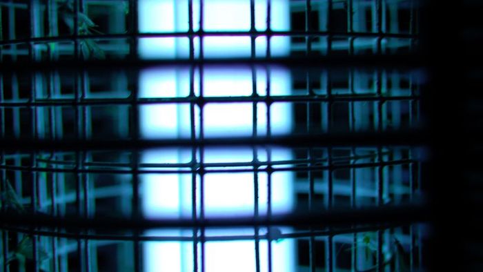Electric Bug Zapper