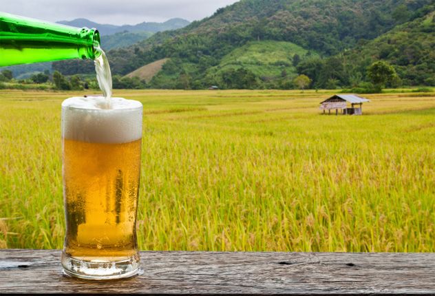 6- Farm Brewery