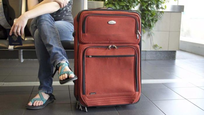 Essential Malaria Tips for Your Travel Plans