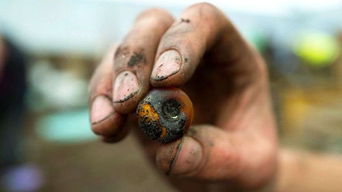 Close-up of a human hand gently stroking an animal amidst nature.