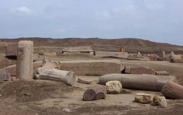 6-tanis