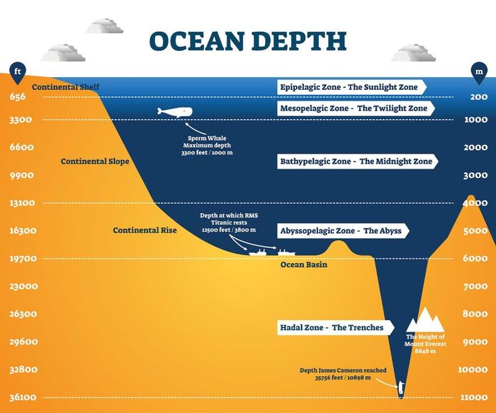 Mariana Trench, Mount Everest