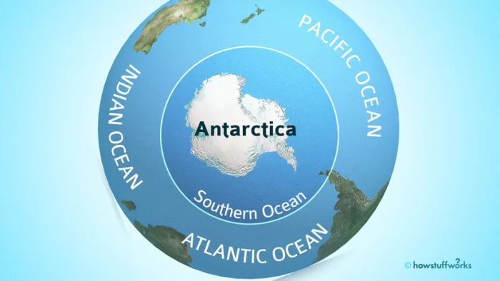 The Southern Ocean and its neighboring seas