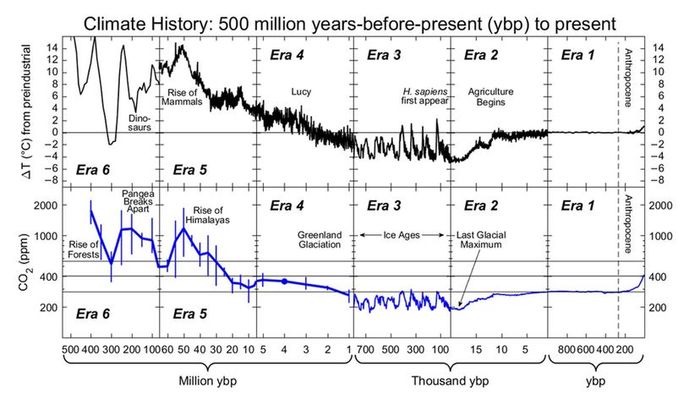 carbon dioxide concentrations