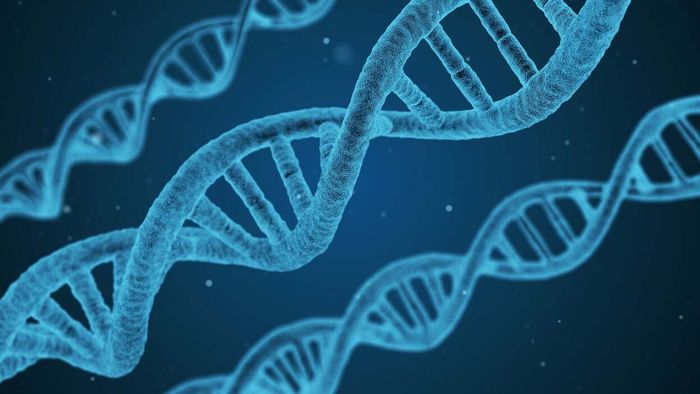 Which DNA Databases Provide the Most and Least Privacy Protection?
