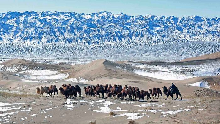 Gobi Desert