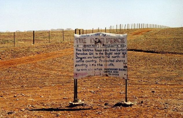 800px-Dogfence