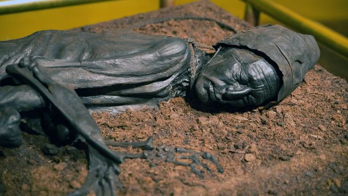 bog body