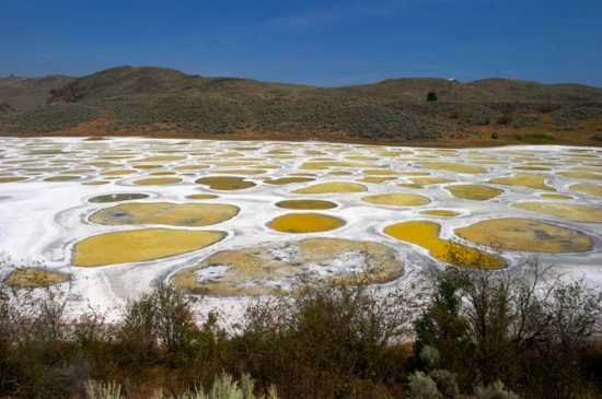 Spotted Lake (Kliluk), located in Osoyoos, Canada, is renowned for having one of the highest concentrations of minerals. The lake is a natural wonder due to its mineral-rich waters and striking features.