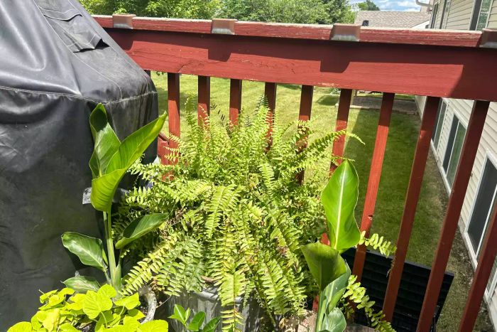 The SOLPEX Solar Deck Lights illuminate a deck railing