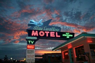 Blueswallow