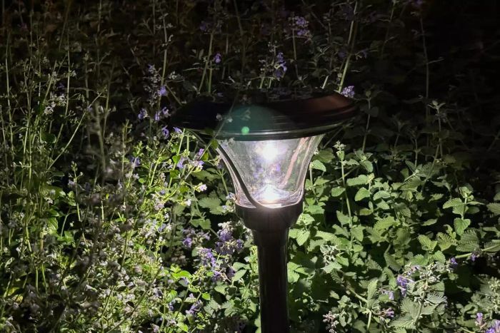 The Frontgate Pro Series VI Solar Path Light placed near flowers