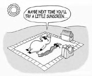 Pig-No-Sunscreen-Bacon Small-1