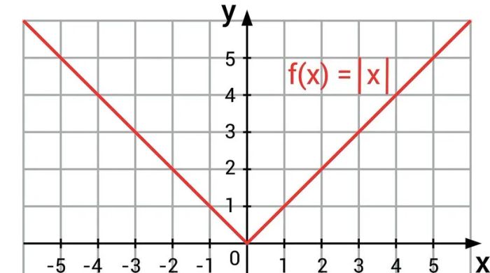 Graph of an absolute value function in the coordinate plane