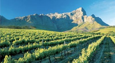 Winelands