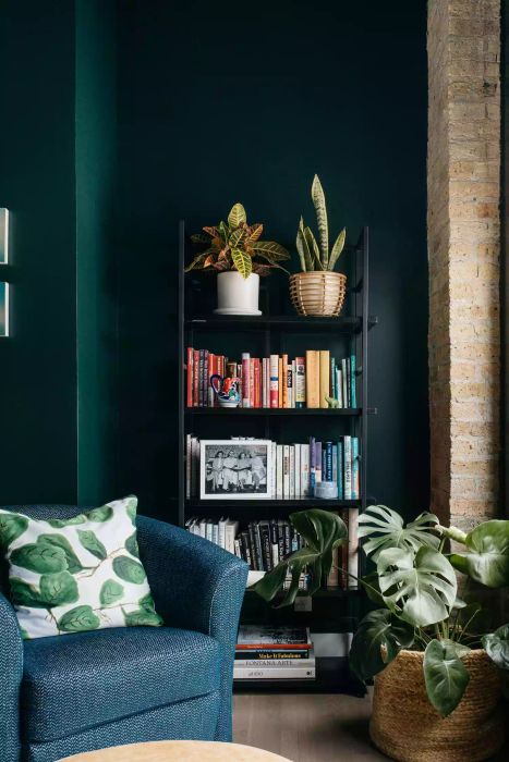 bookshelf adorned with two potted plants on the top shelf