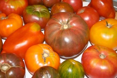 Heirloom Tomatoes