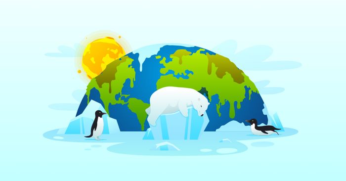 bai mau compose a paragraph discussing the causes and consequences of global warming