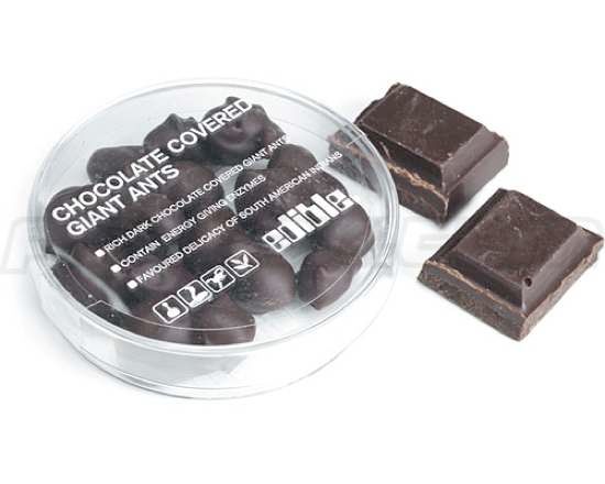 Chocolate-Covered-Ants