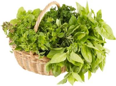 Freshherbs-1