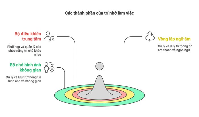 Các mô hình liên quan đến trí nhớ làm việc
