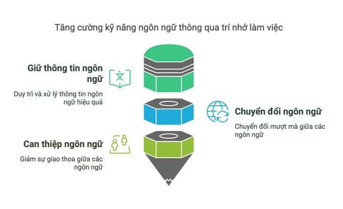 Lợi ích của việc rèn luyện trí nhớ làm việc