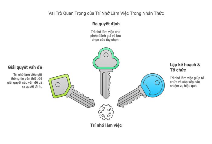 Chức năng của trí nhớ làm việc