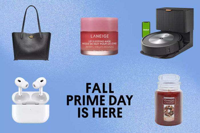 Top 15+ PBDD Deals You Can’t Miss
