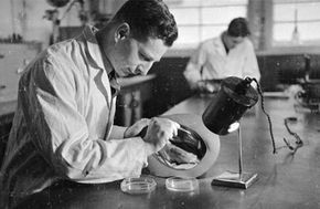 A scientist conducting research in a laboratory during the 1940s