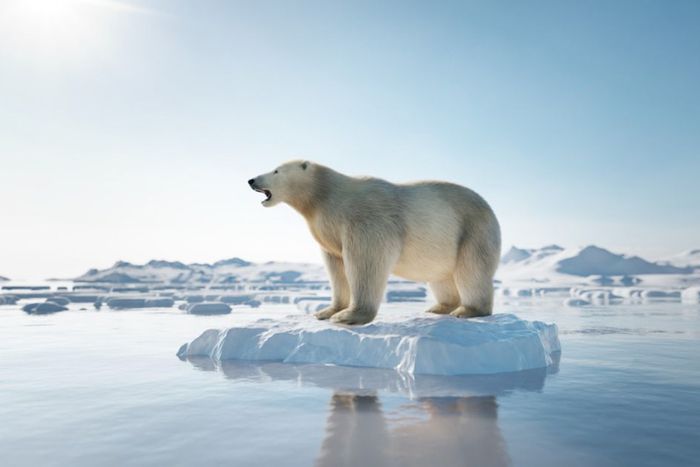 Global warming