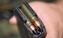 Pair of Bullets