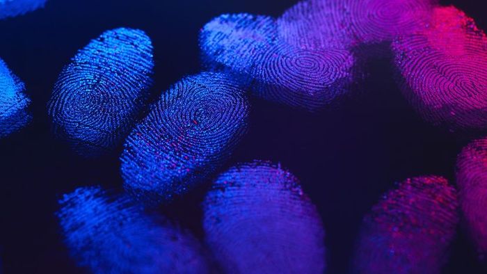 fingerprints