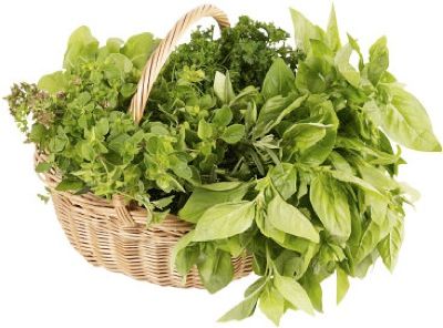 Freshherbs