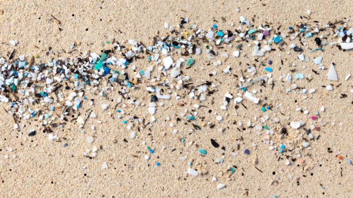 Tips to Minimize Microplastic Intake